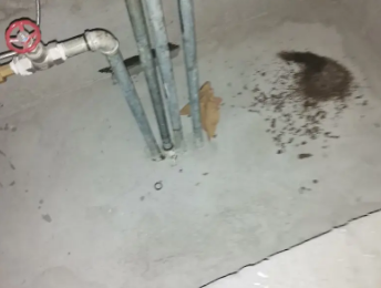 韶关市卫生间测漏水价格明细